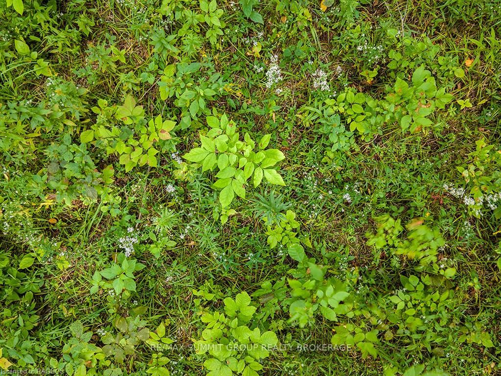 Photo 7 of LOT 6 10TH, Grey Highlands — HOMEH