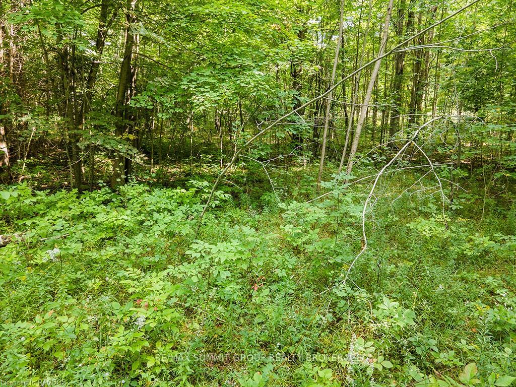 Photo 8 of LOT 6 10TH, Grey Highlands — HOMEH