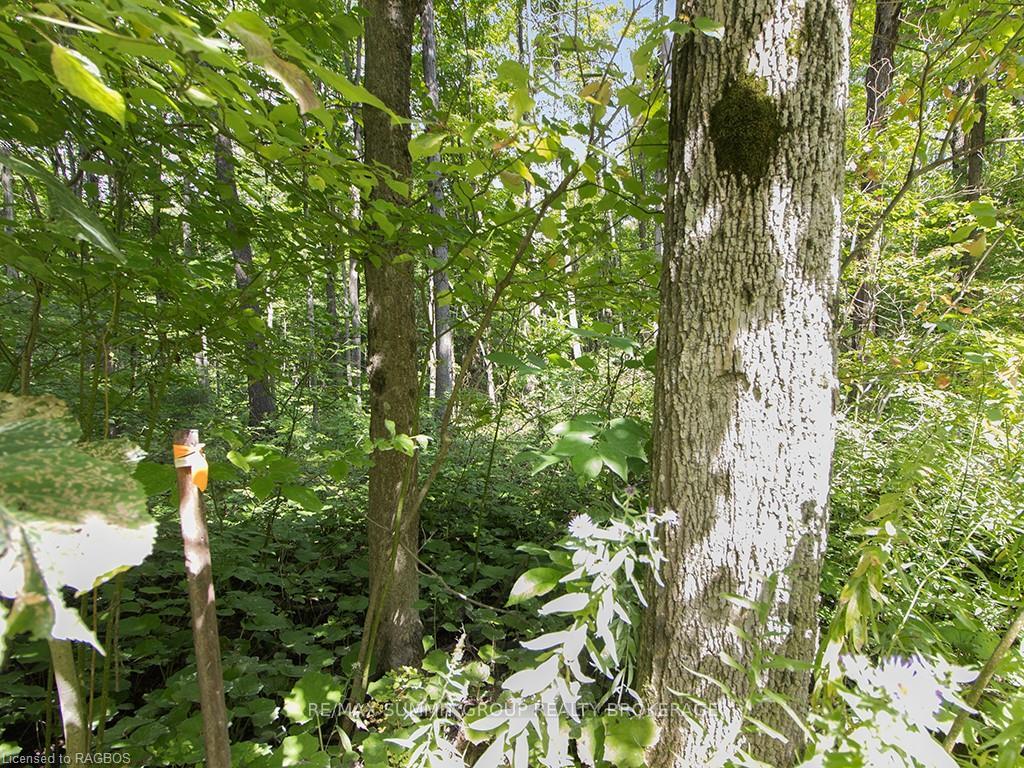 Photo 10 of LOT 6 10TH, Grey Highlands — HOMEH
