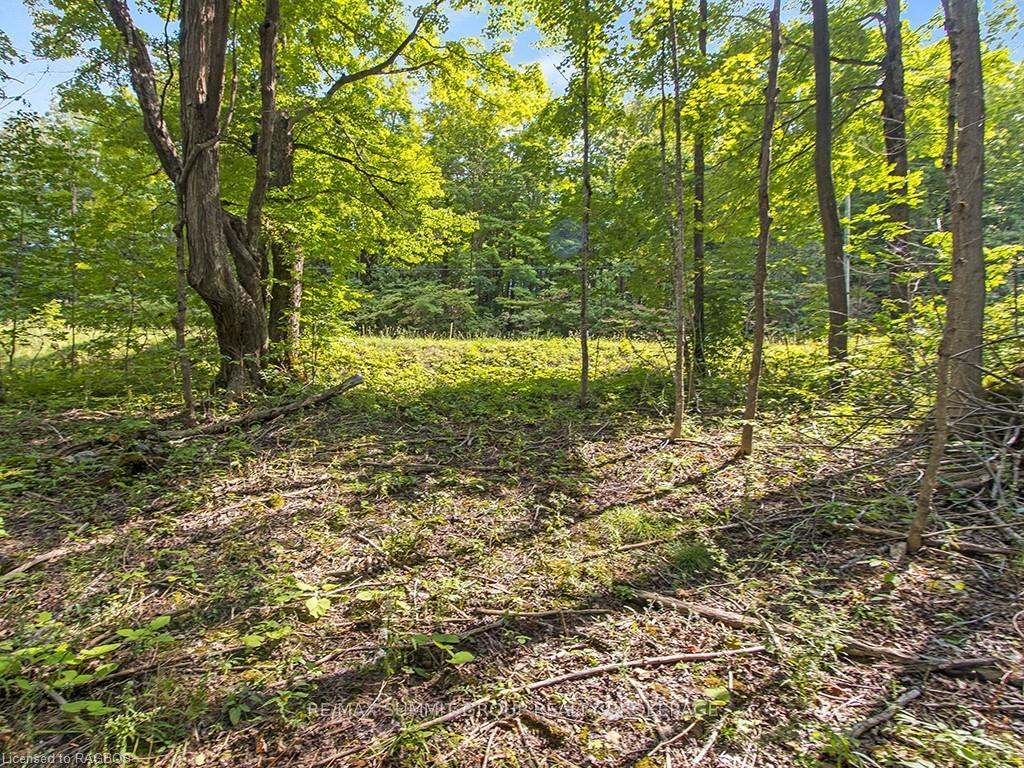 Photo 12 of LOT 6 10TH, Grey Highlands — HOMEH