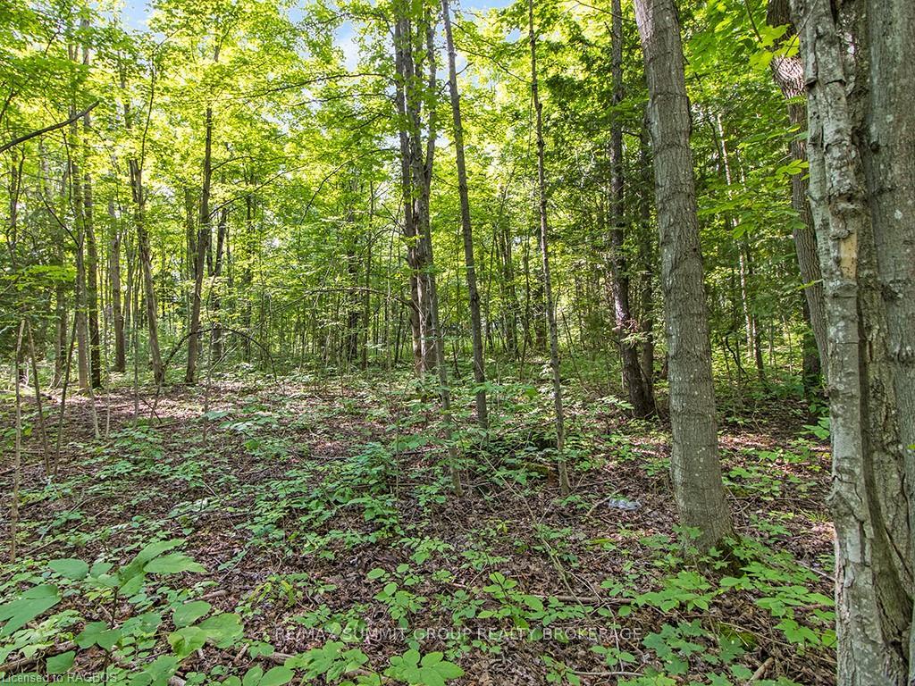 Photo 13 of LOT 6 10TH, Grey Highlands — HOMEH
