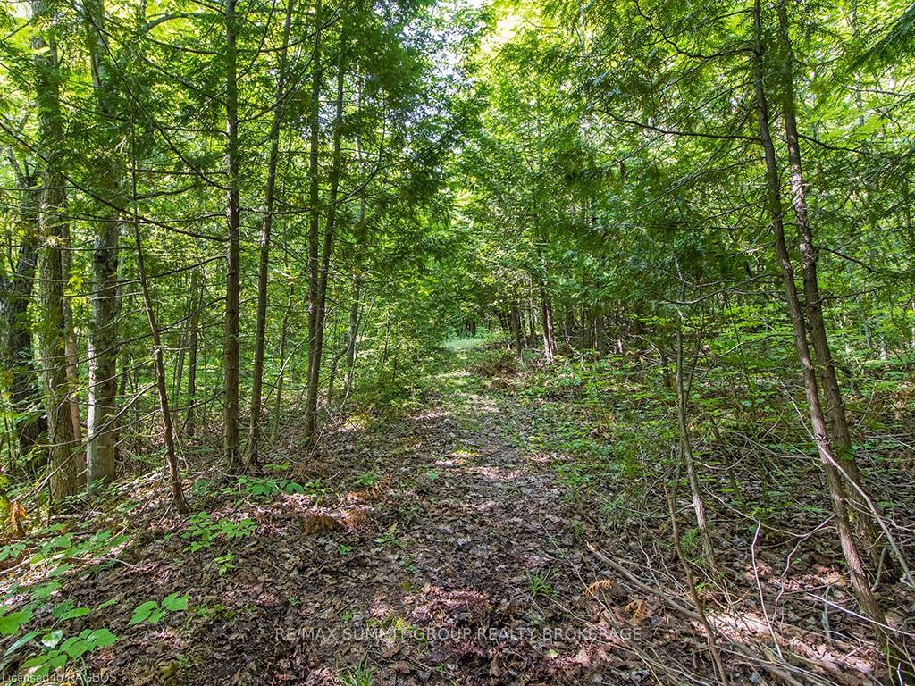 Photo 14 of LOT 6 10TH, Grey Highlands — HOMEH