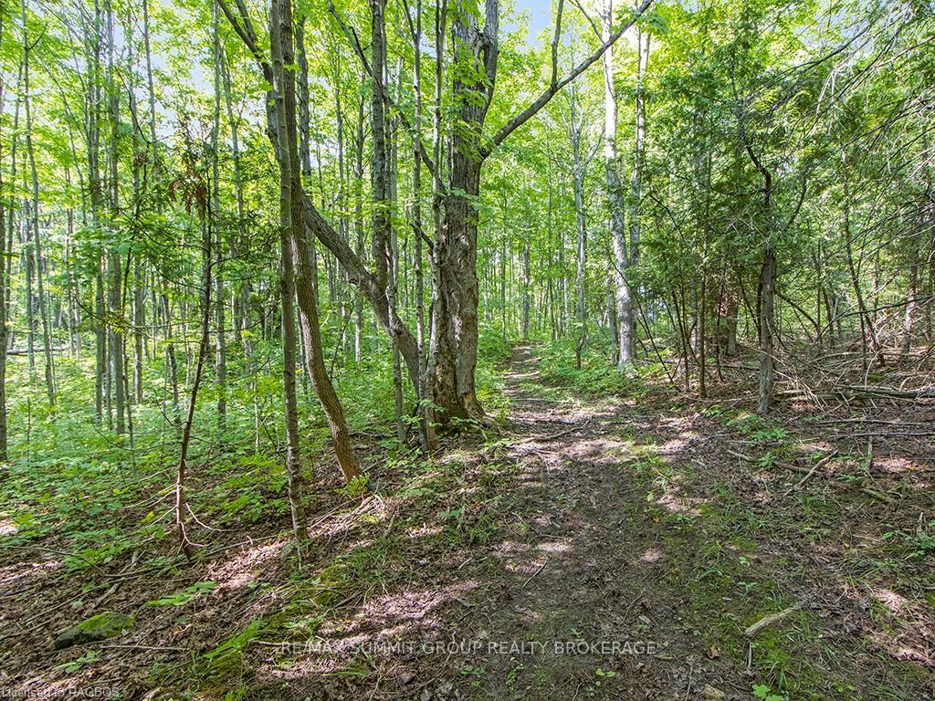 Photo 16 of LOT 6 10TH, Grey Highlands — HOMEH
