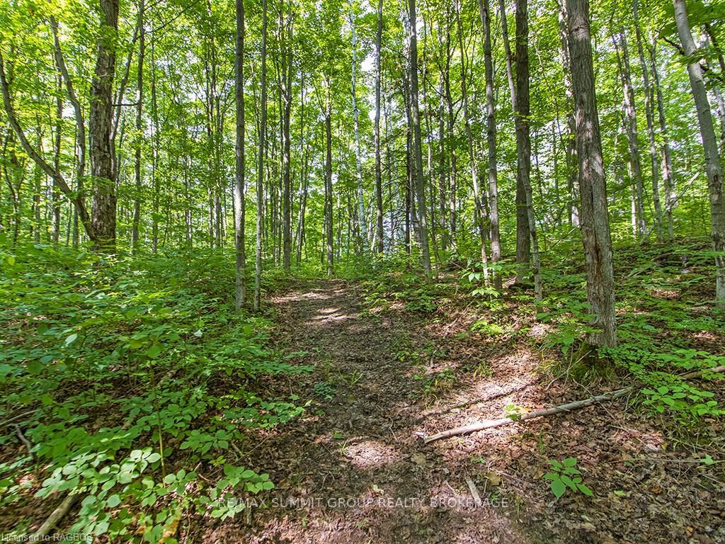 Photo 17 of LOT 6 10TH, Grey Highlands — HOMEH