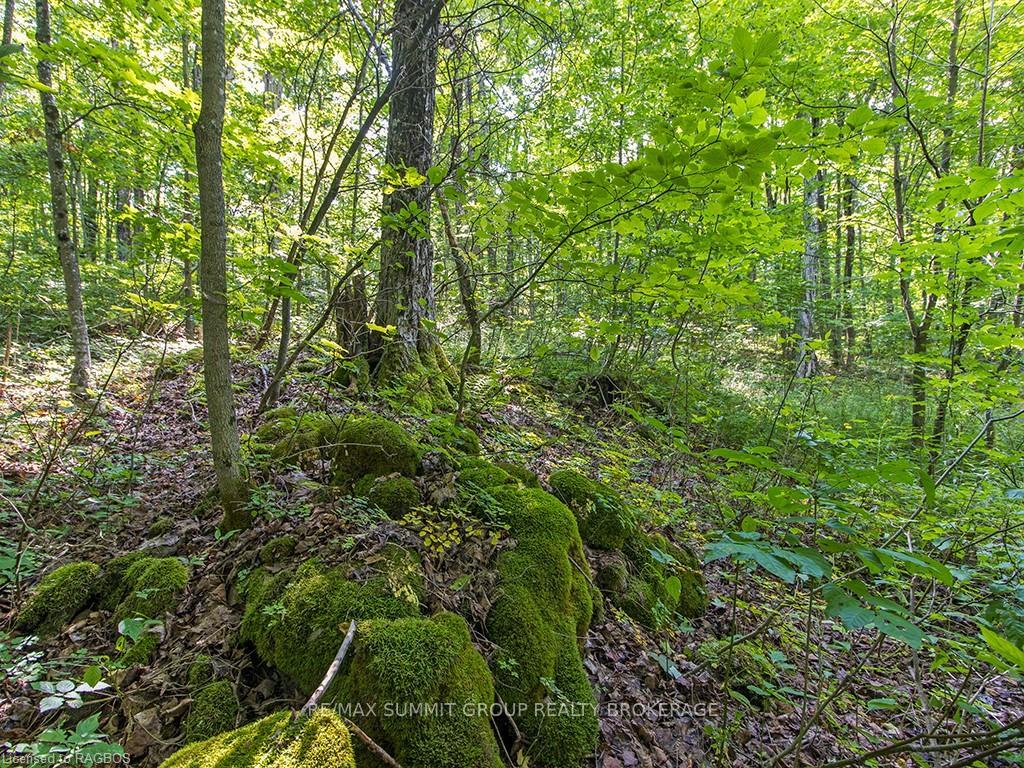 Photo 18 of LOT 6 10TH, Grey Highlands — HOMEH