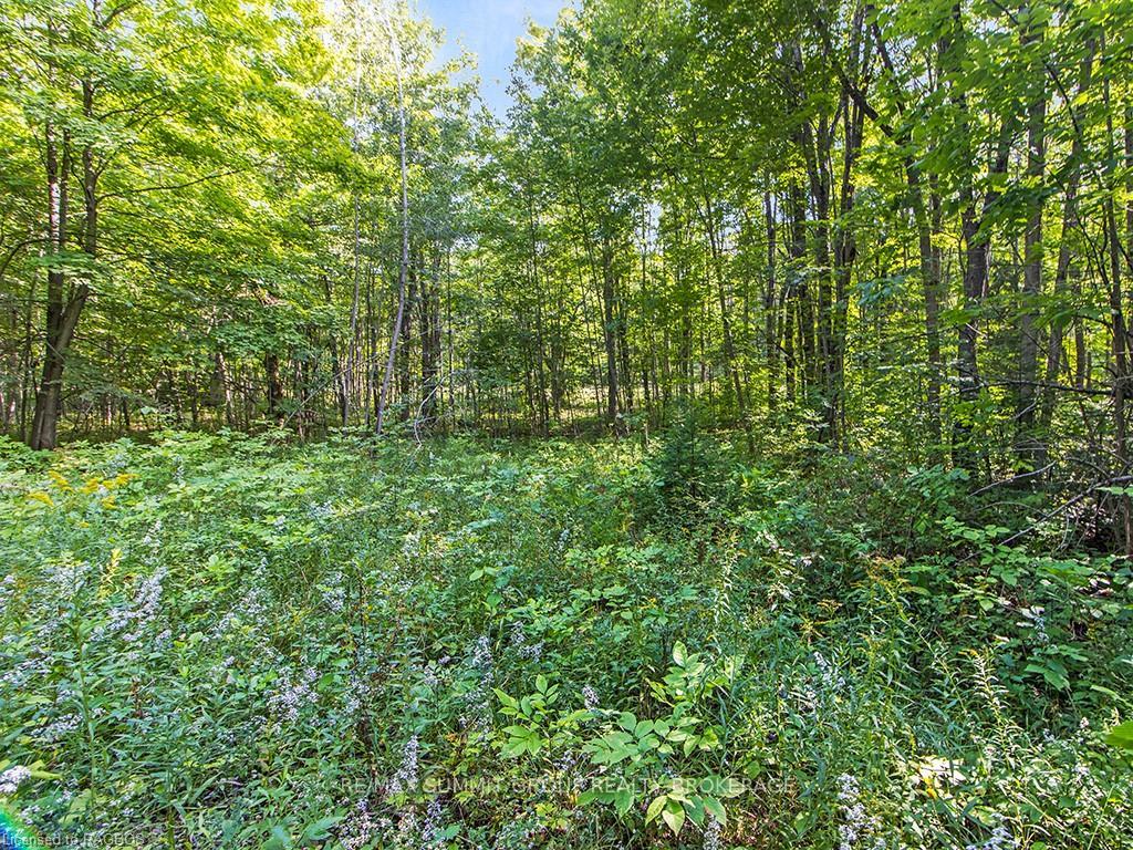 Photo 20 of LOT 6 10TH, Grey Highlands — HOMEH