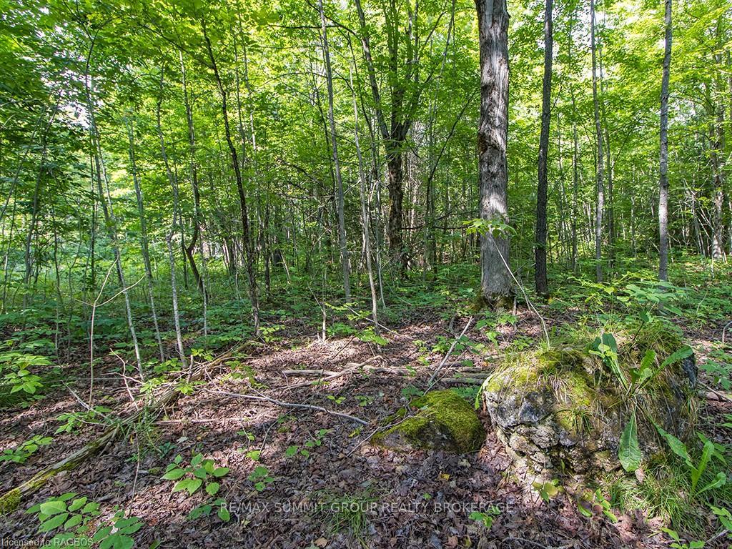 Photo 21 of LOT 6 10TH, Grey Highlands — HOMEH