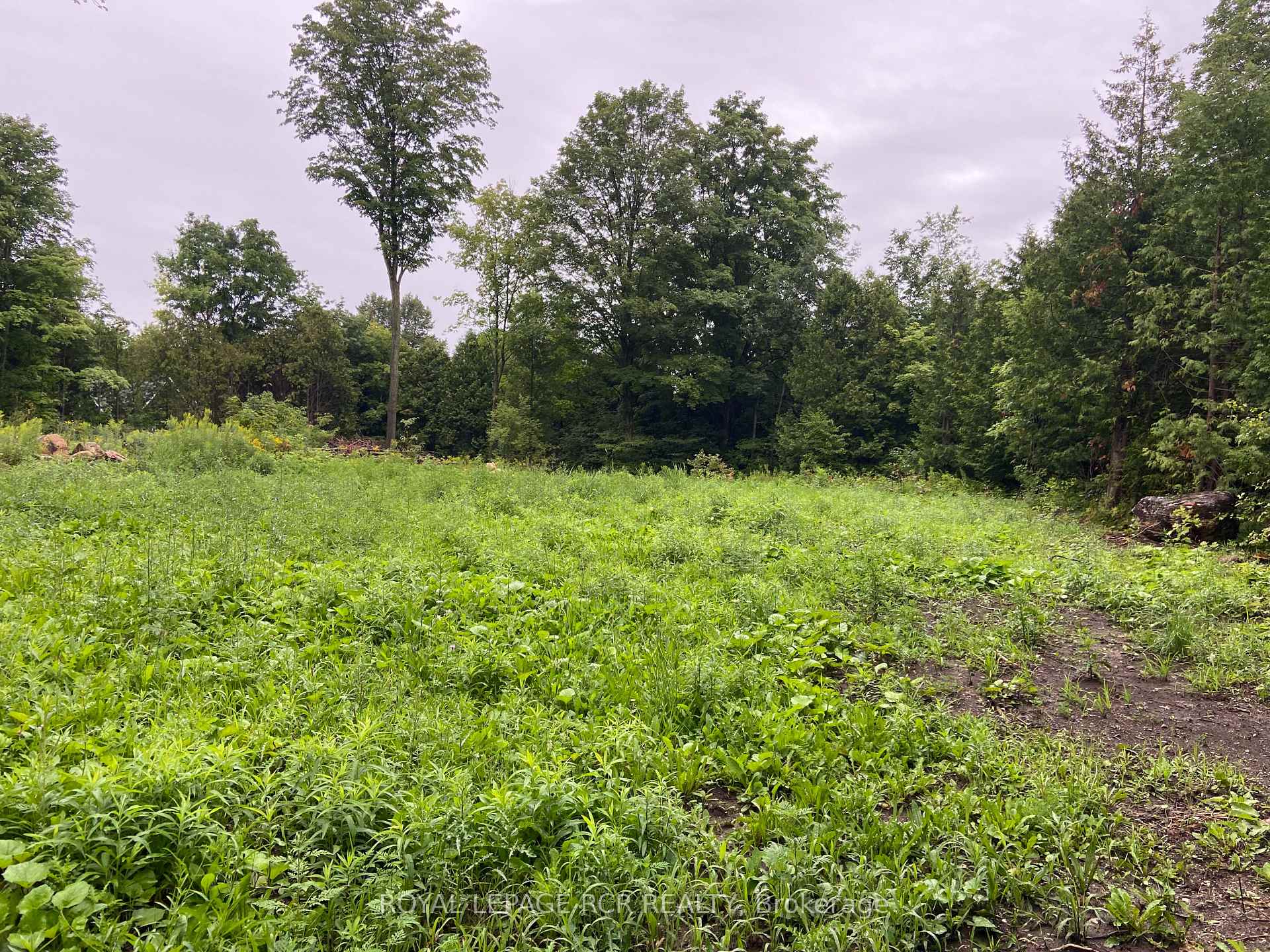 Photo 10 of 000 Penny Lane, Grey Highlands — HOMEH