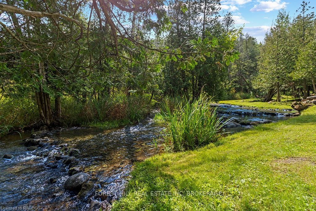 Photo 3 of 46 Sydenham Street, Grey Highlands — HOMEH