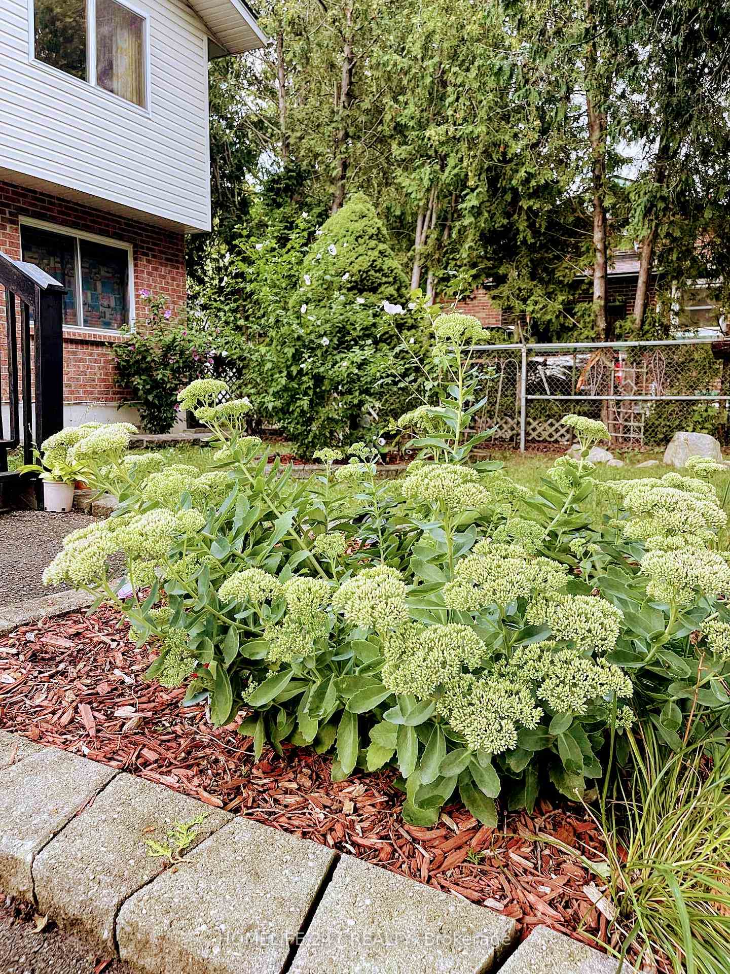 Photo 3 of 331 Paisley Road, Guelph, Junction/Onward Willow — HOMEH