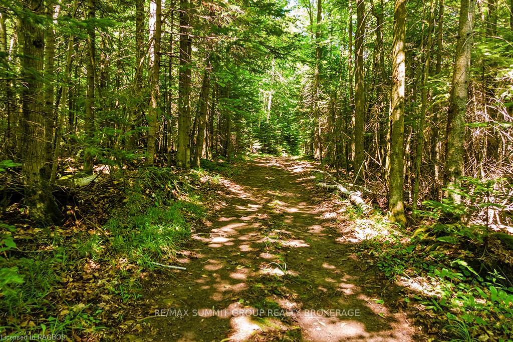 Photo 53 of 315045 3RD Line A, Grey Highlands — HOMEH