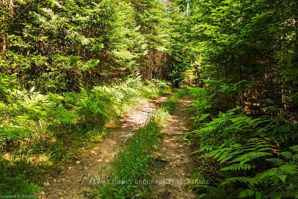 Photo 72 of 315045 3RD Line A, Grey Highlands — HOMEH