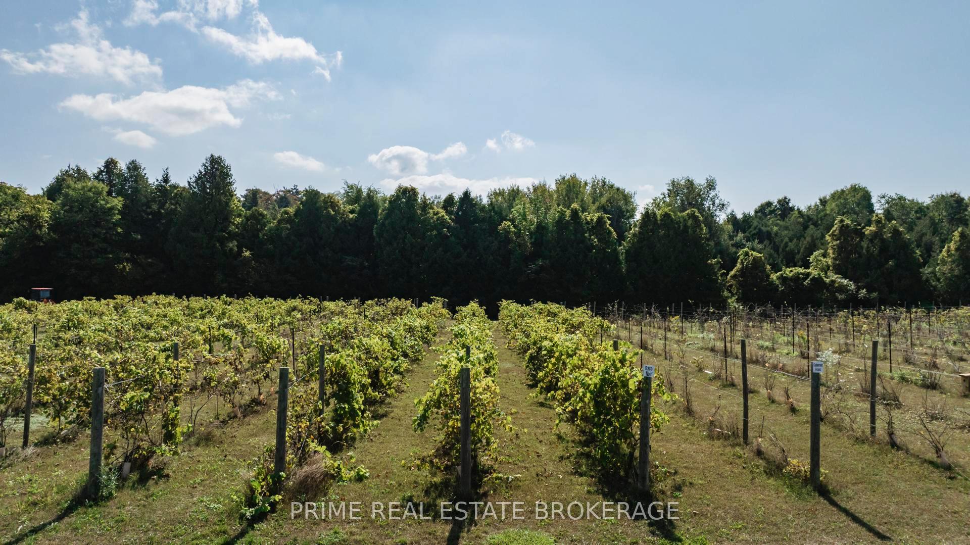 Photo 8 of 64 Deer Ridge Lane, Bluewater, Bayfield — HOMEH