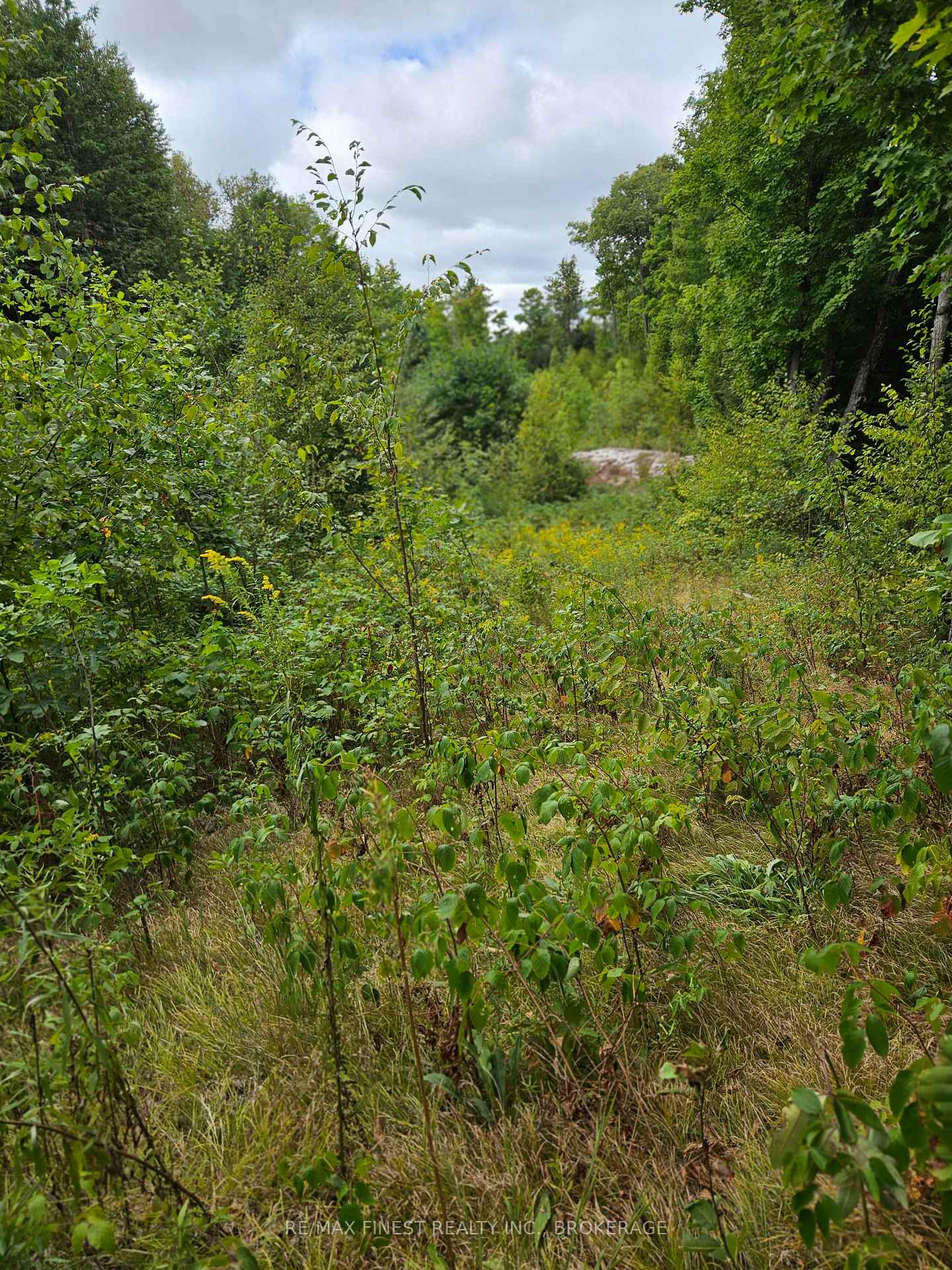 Photo 11 of 00 Highway 7, Frontenac, Frontenac Centre — HOMEH