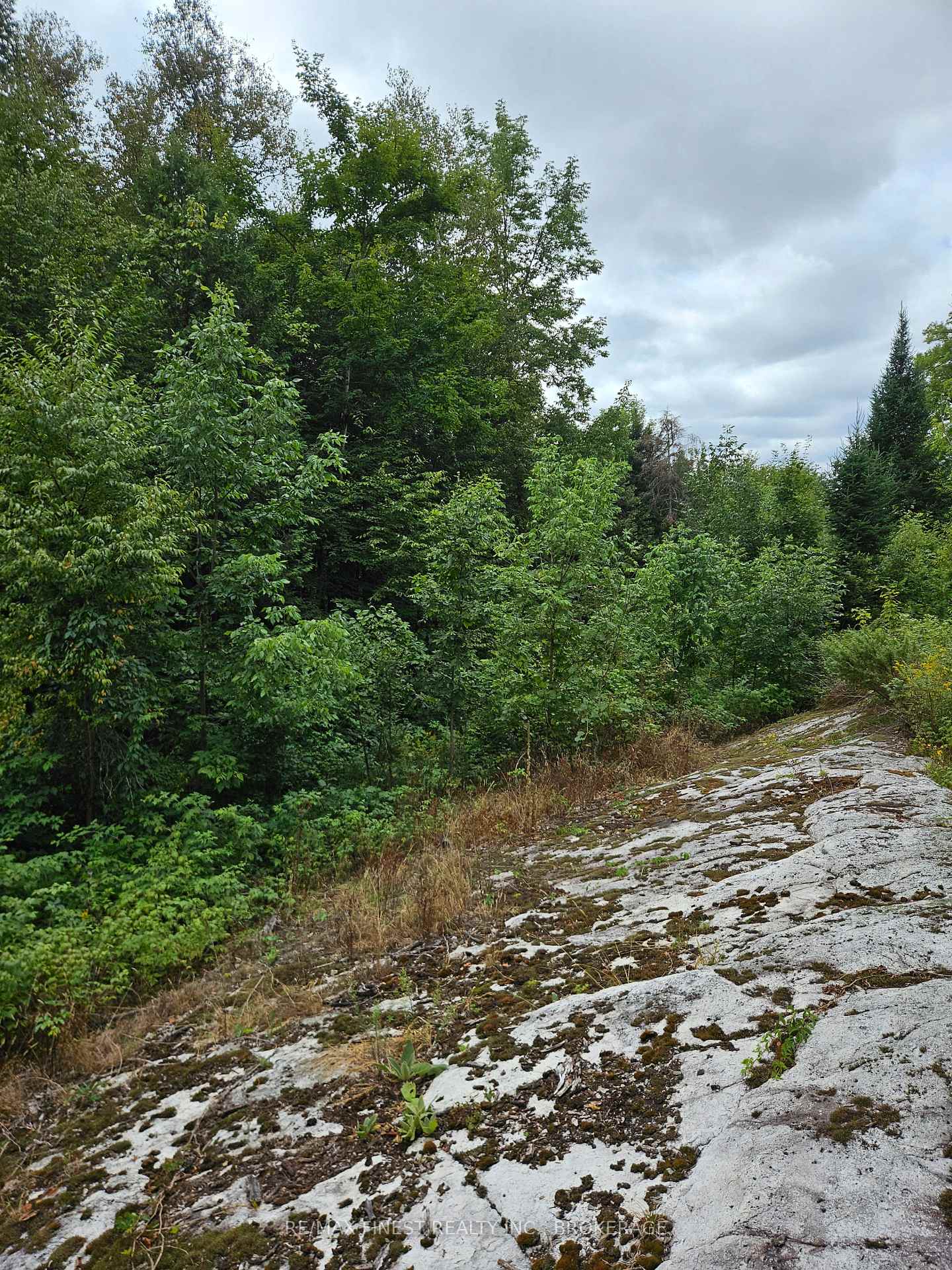 Photo 12 of 00 Highway 7, Frontenac, Frontenac Centre — HOMEH