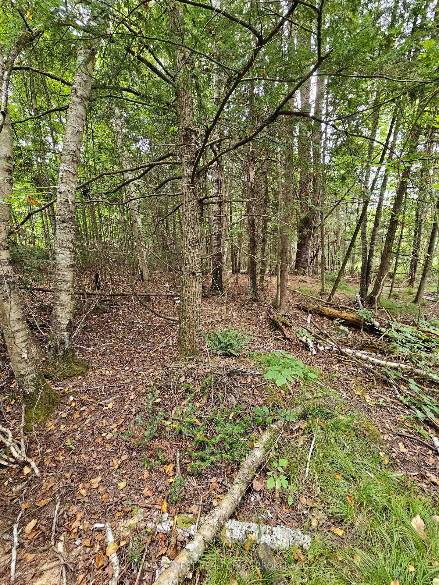 Photo 14 of 00 Highway 7, Frontenac, Frontenac Centre — HOMEH