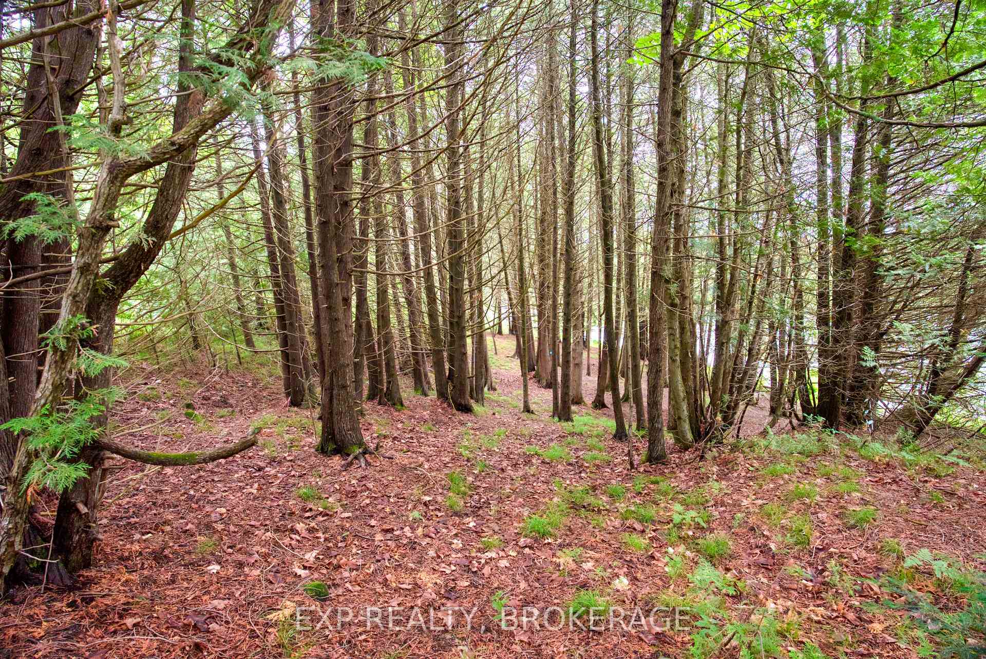 Photo 12 of 1129 Farm Lake Lane, Frontenac, Frontenac North — HOMEH