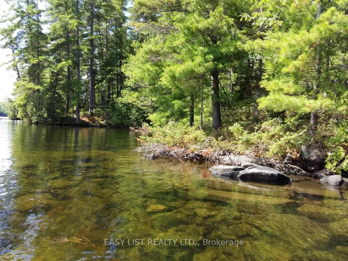 Photo 8 of 100 Kilgore Island, Frontenac, Frontenac North — HOMEH