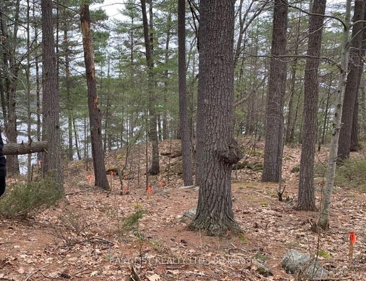 Photo 9 of 100 Kilgore Island, Frontenac, Frontenac North — HOMEH