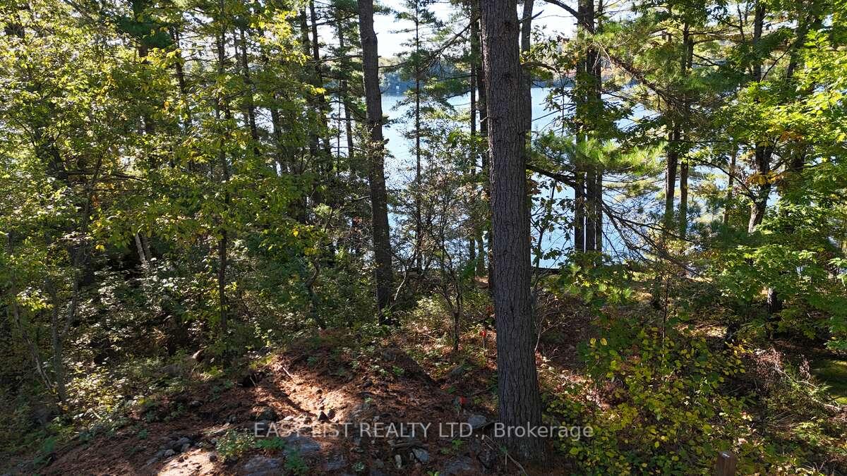 Photo 17 of 100 Kilgore Island, Frontenac, Frontenac North — HOMEH