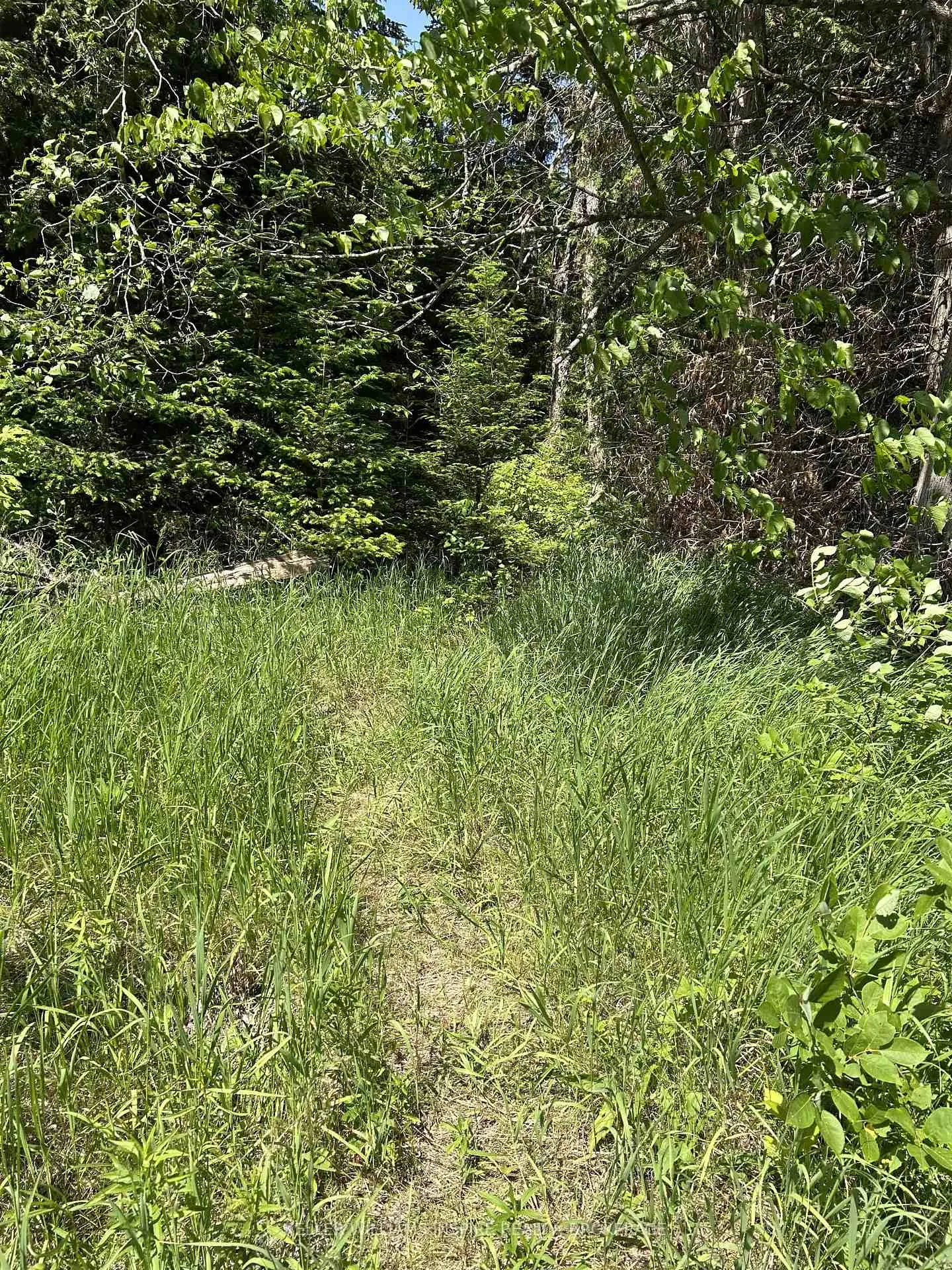 Photo 9 of 509 Highway, Frontenac, Frontenac North — HOMEH