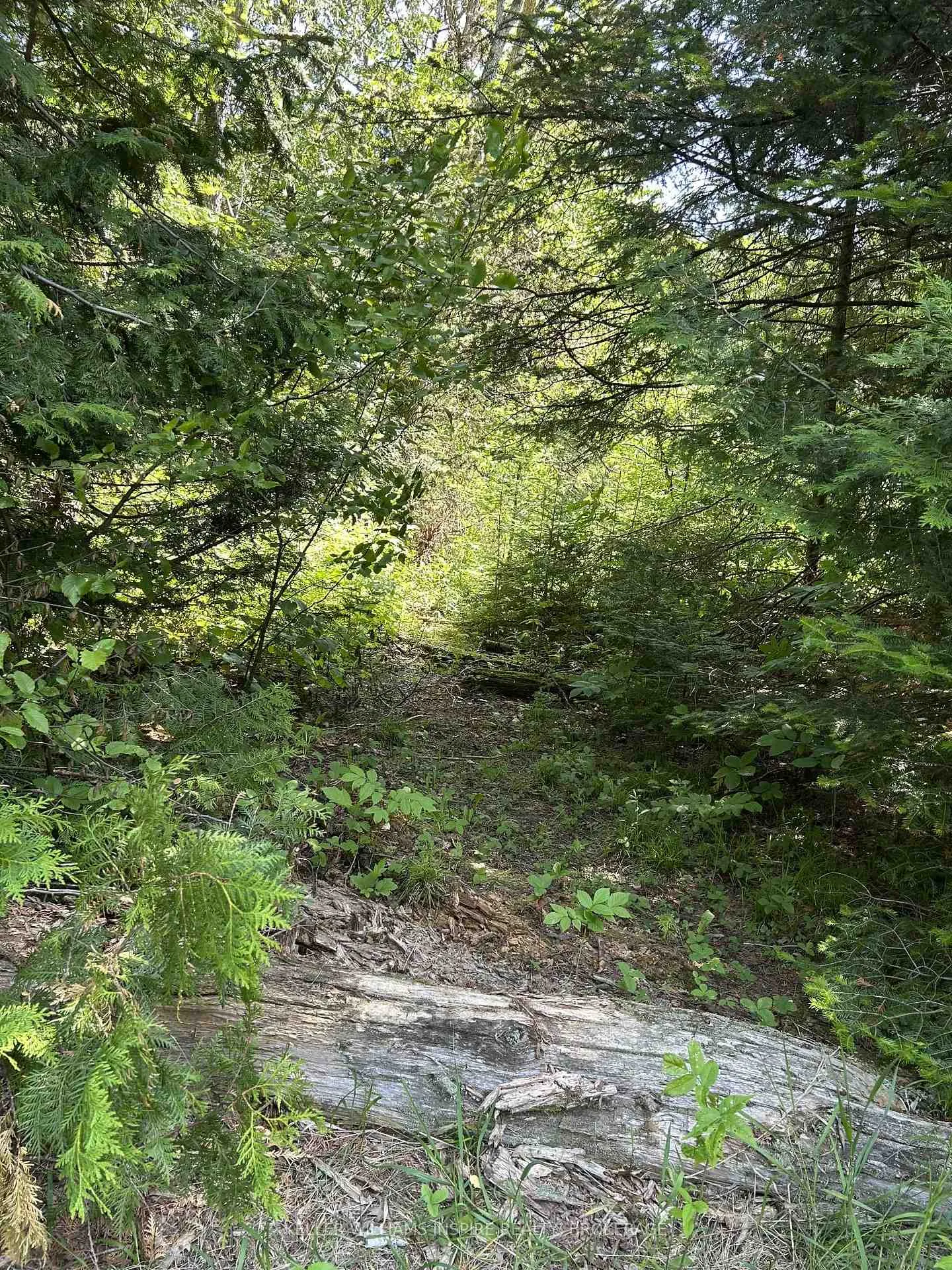 Photo 19 of 509 Highway, Frontenac, Frontenac North — HOMEH