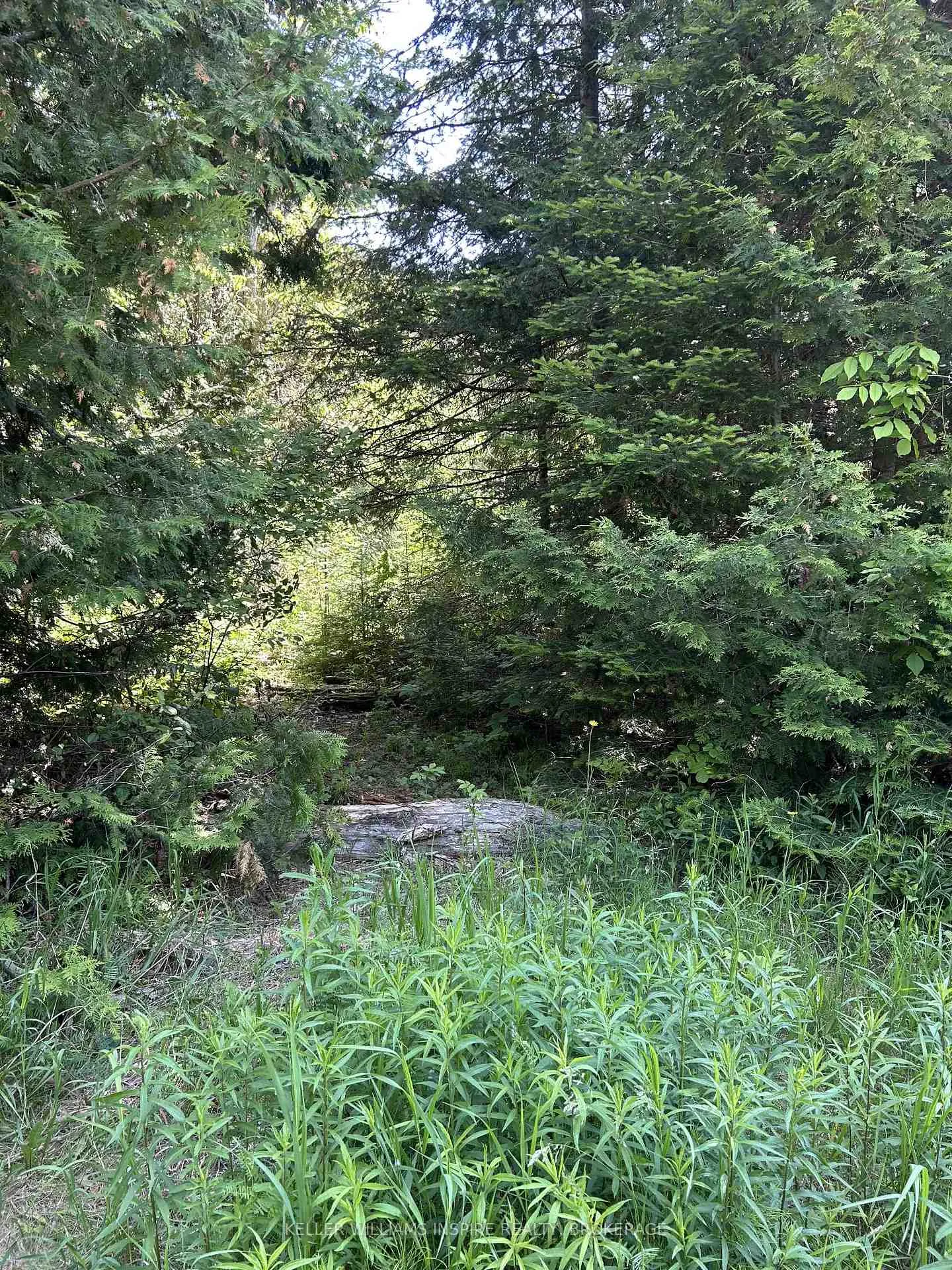 Photo 20 of 509 Highway, Frontenac, Frontenac North — HOMEH