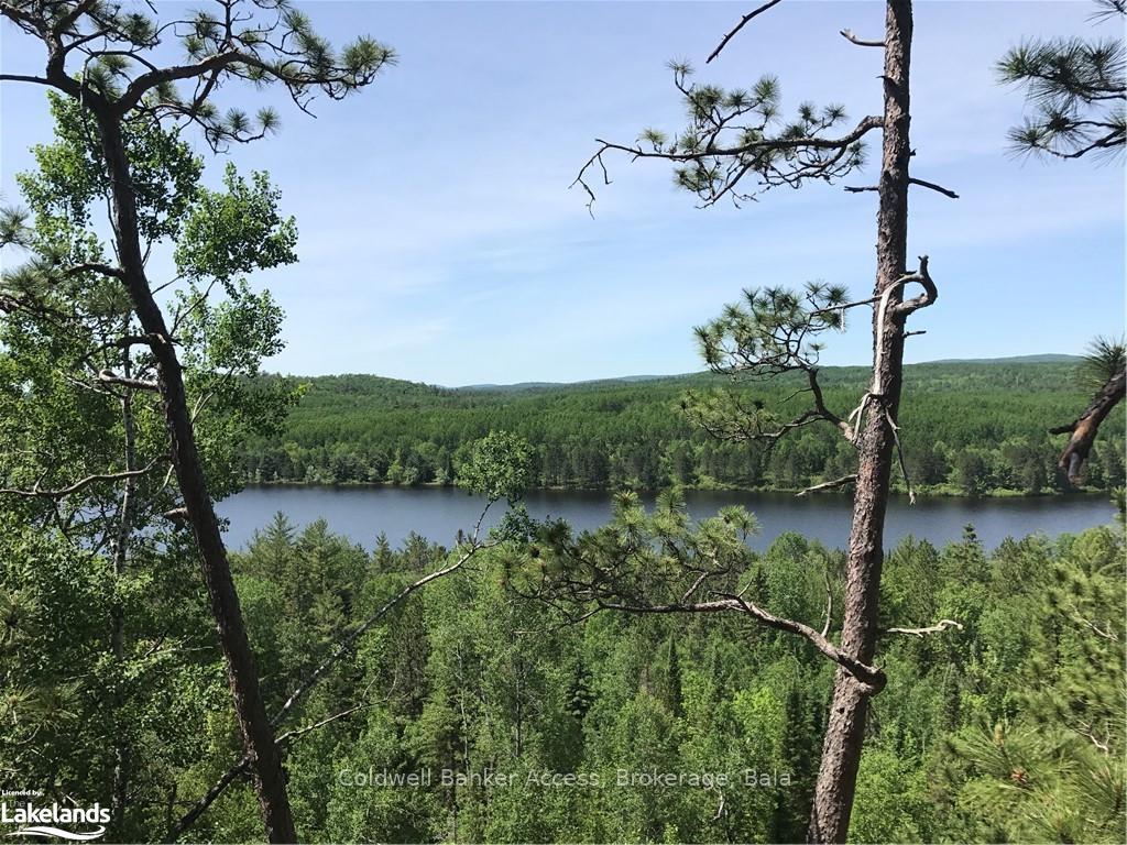 Photo 2 of LOT 23 Conession 6, Calvin — HOMEH