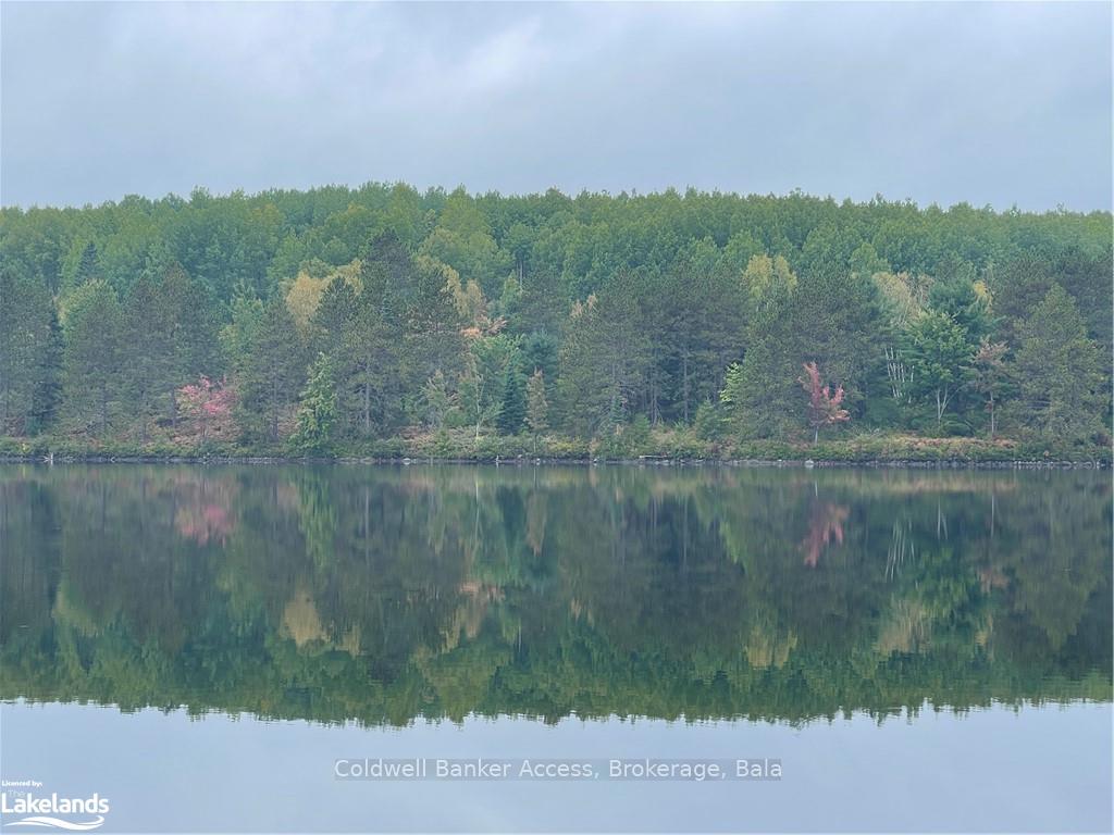 Photo 9 of LOT 23 Conession 6, Calvin — HOMEH