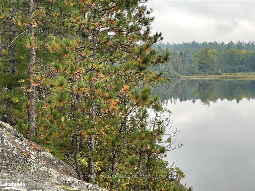 Photo 14 of LOT 23 Conession 6, Calvin — HOMEH