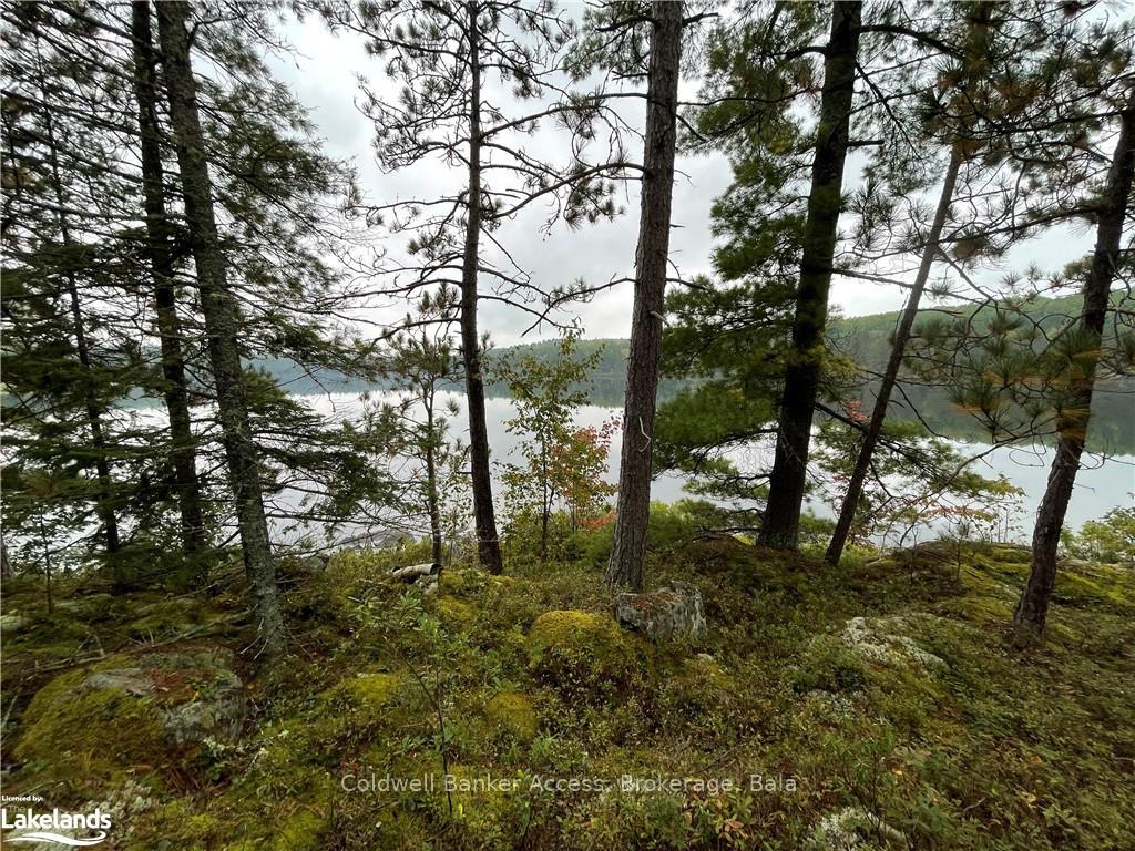 Photo 10 of LOT 23 Conession 6, Calvin — HOMEH
