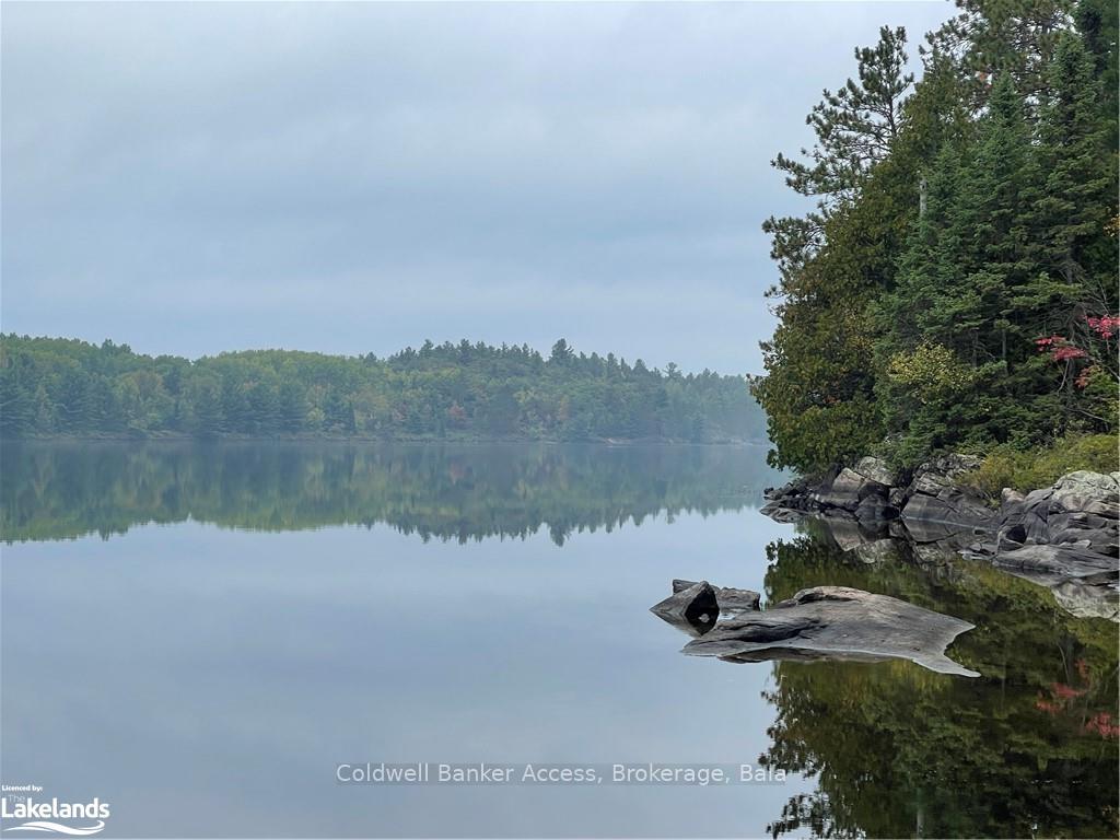 Photo 12 of LOT 23 Conession 6, Calvin — HOMEH