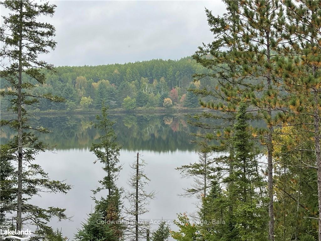 Photo 13 of LOT 23 Conession 6, Calvin — HOMEH