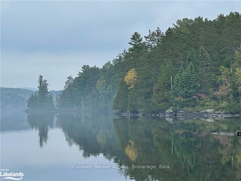 Photo 16 of LOT 23 Conession 6, Calvin — HOMEH