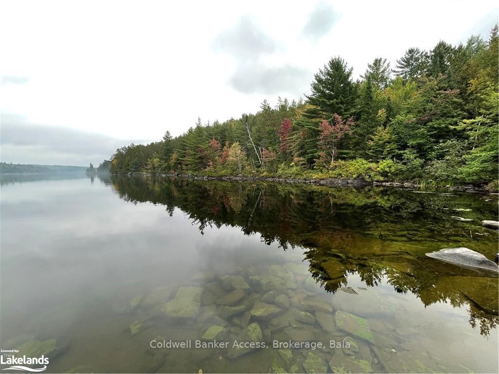 Photo 17 of LOT 23 Conession 6, Calvin — HOMEH