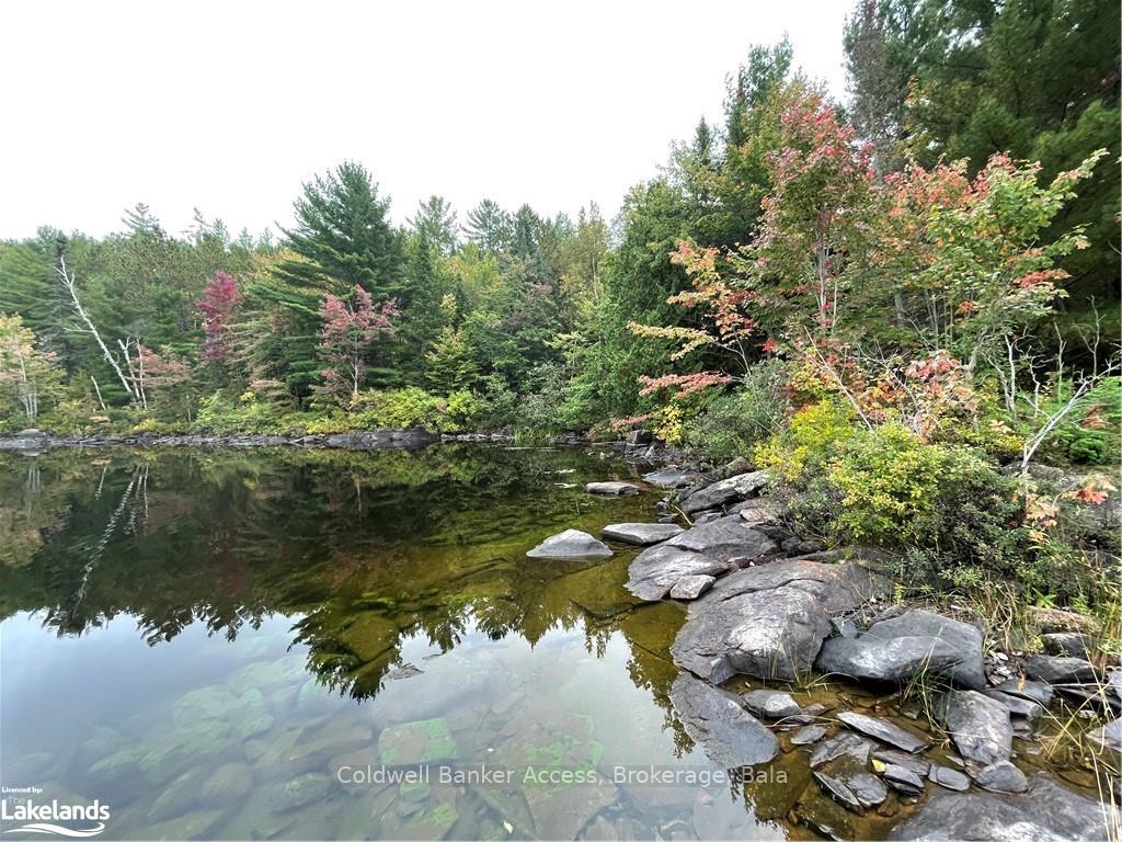 Photo 19 of LOT 23 Conession 6, Calvin — HOMEH