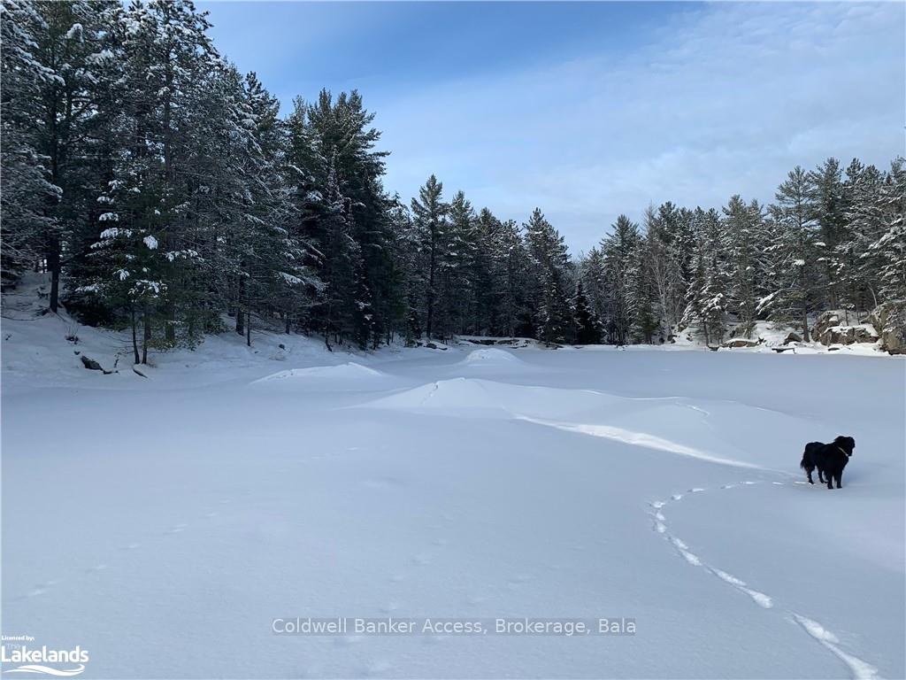Photo 22 of LOT 23 Conession 6, Calvin — HOMEH