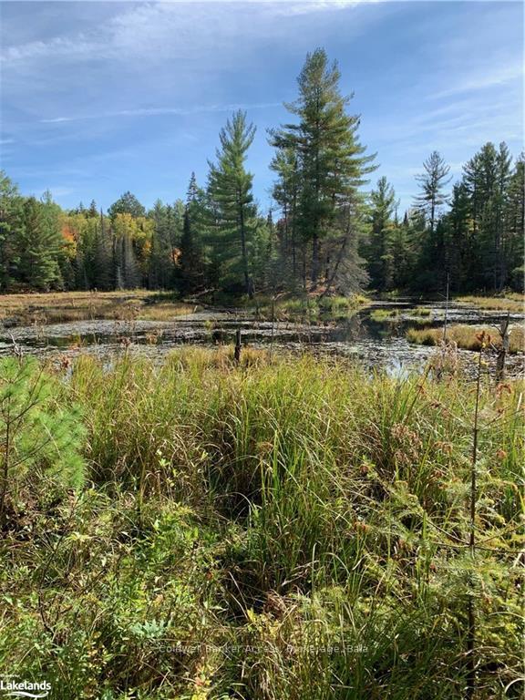 Photo 32 of LOT 23 Conession 6, Calvin — HOMEH