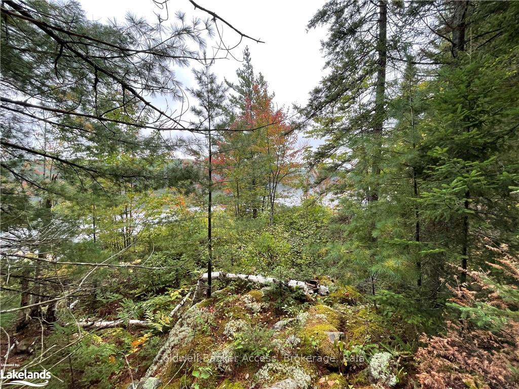 Photo 27 of LOT 23 Conession 6, Calvin — HOMEH
