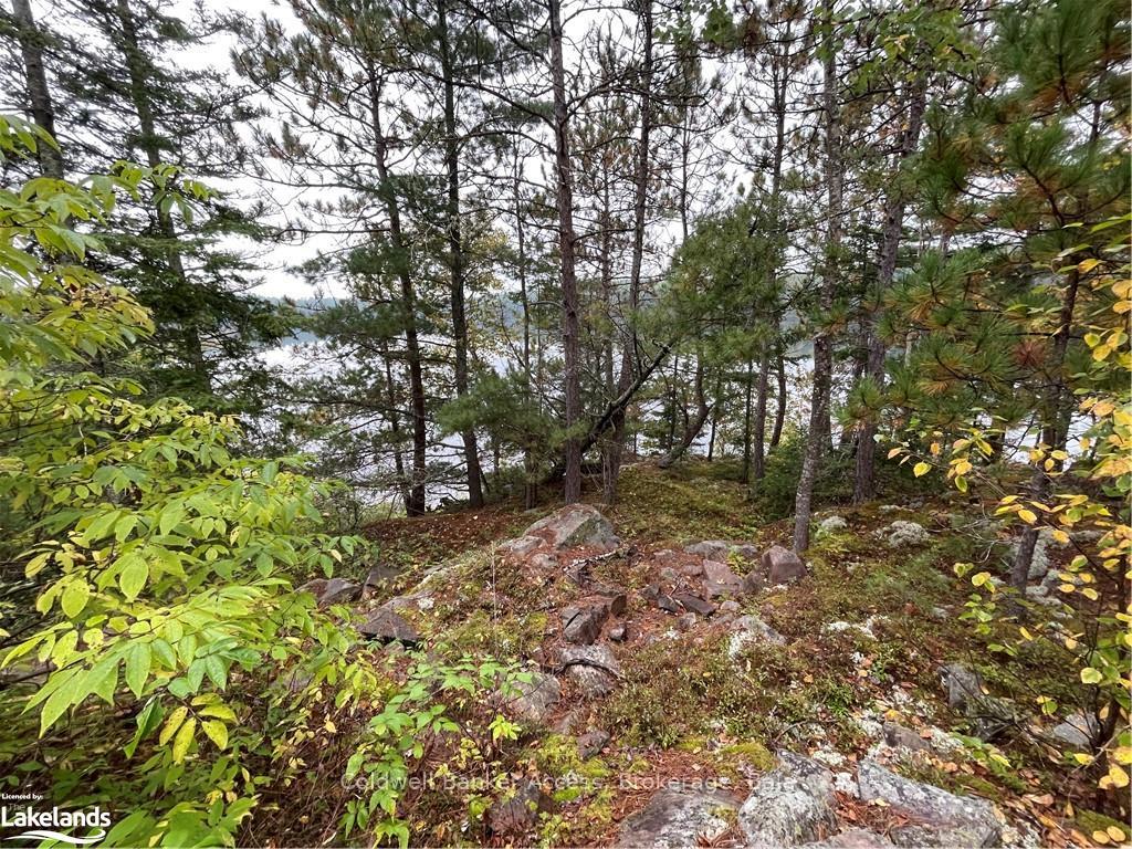 Photo 26 of LOT 23 Conession 6, Calvin — HOMEH