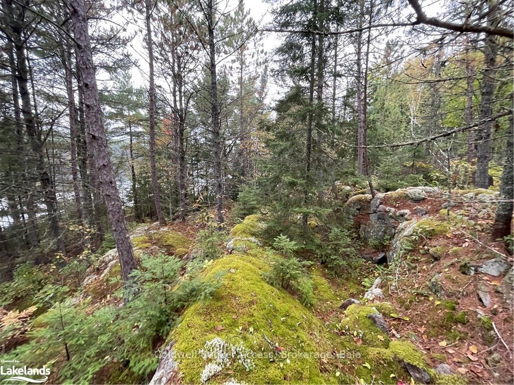 Photo 28 of LOT 23 Conession 6, Calvin — HOMEH