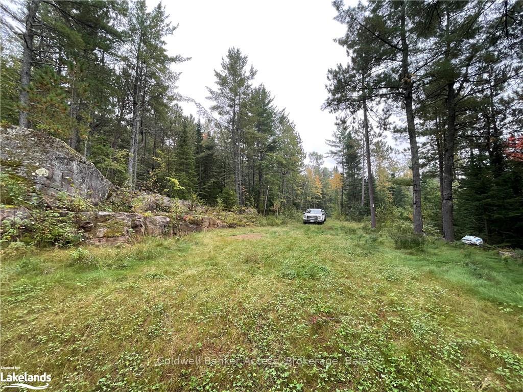 Photo 34 of LOT 23 Conession 6, Calvin — HOMEH