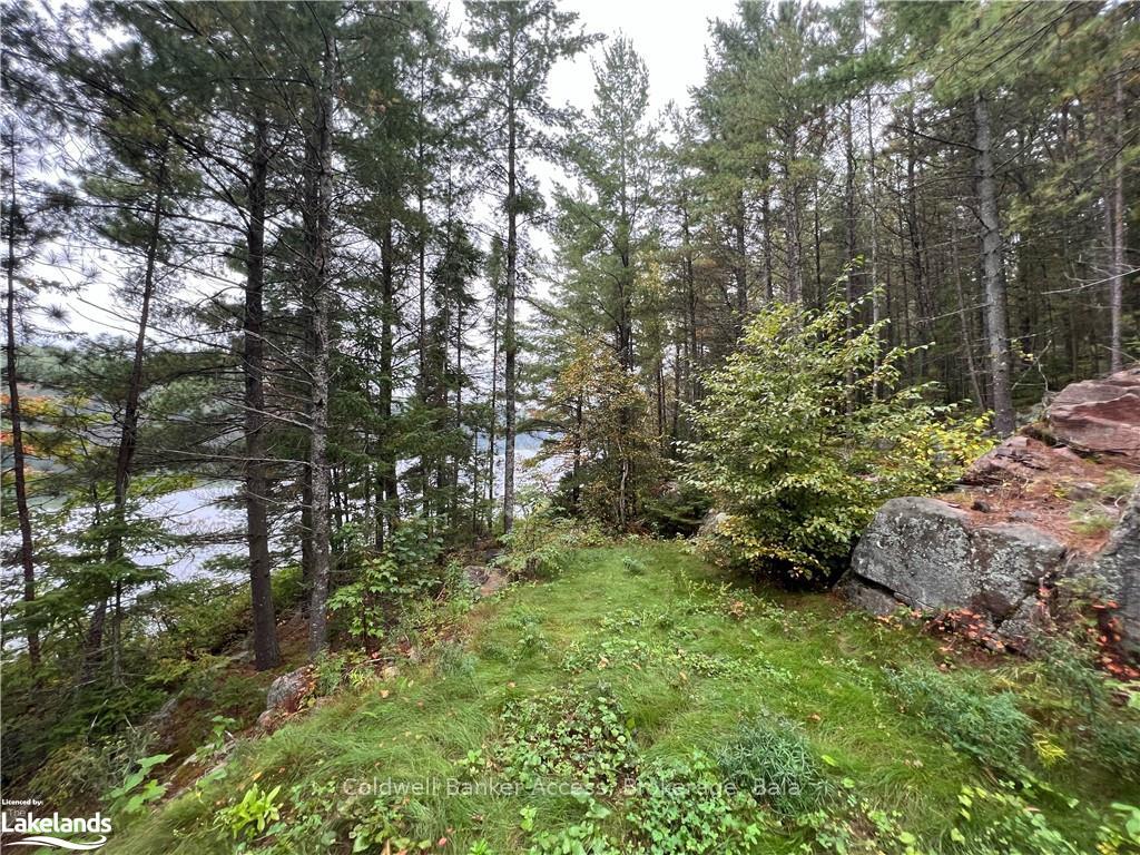 Photo 35 of LOT 23 Conession 6, Calvin — HOMEH