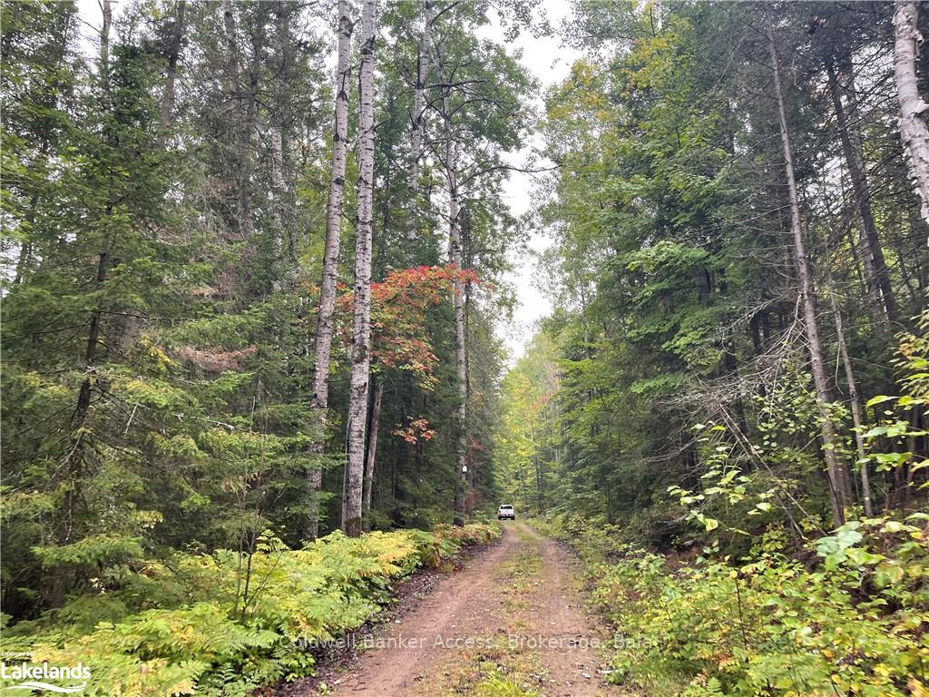 Photo 45 of LOT 23 Conession 6, Calvin — HOMEH