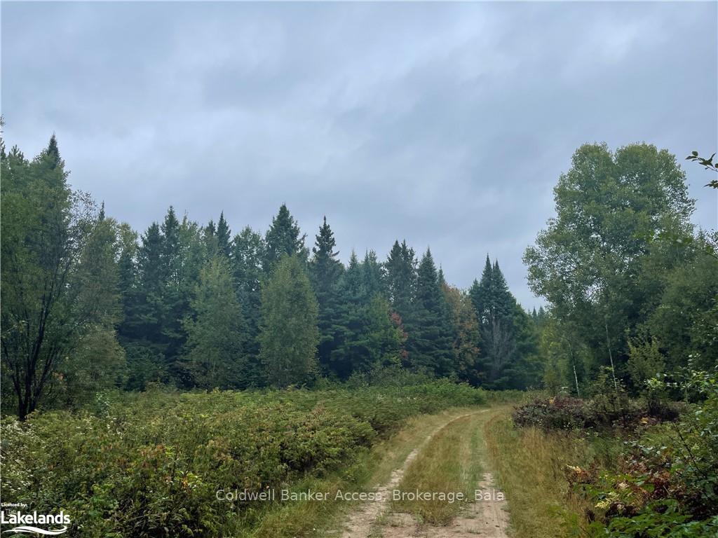 Photo 37 of LOT 23 Conession 6, Calvin — HOMEH