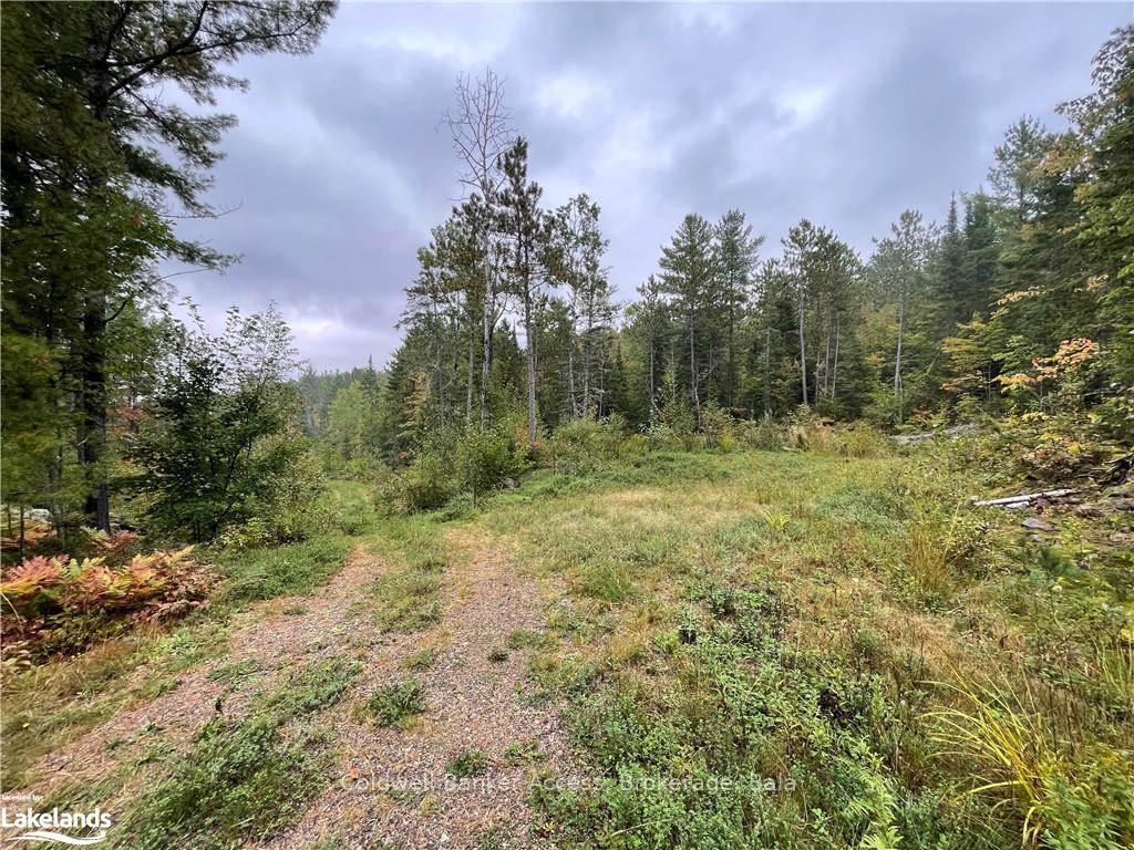 Photo 38 of LOT 23 Conession 6, Calvin — HOMEH