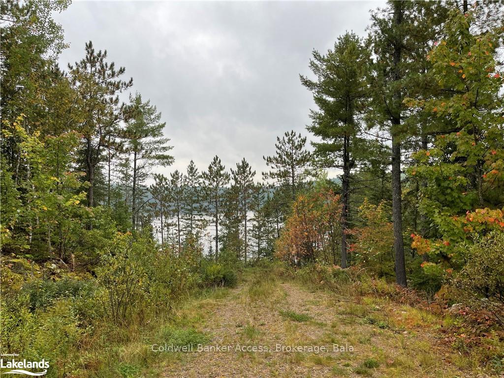 Photo 39 of LOT 23 Conession 6, Calvin — HOMEH