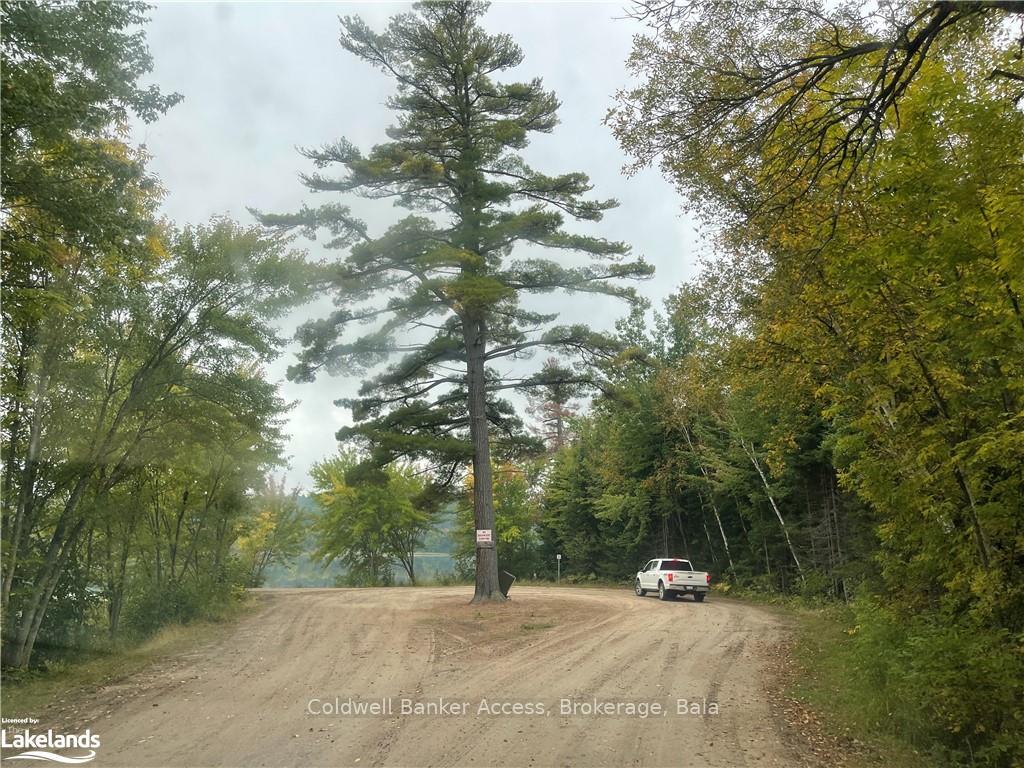 Photo 42 of LOT 23 Conession 6, Calvin — HOMEH