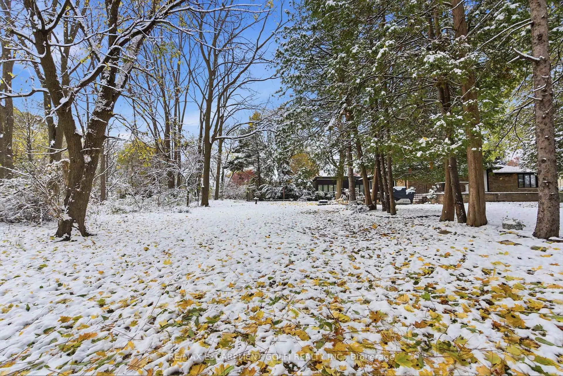 Photo 42 of 16 Freeland Court, Hamilton, Westdale — HOMEH