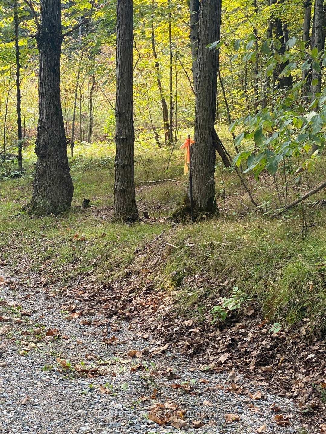 Photo 9 of Elm Tree Road, Frontenac, Frontenac Centre — HOMEH